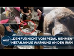 USA: Unglaubliche Tier-OP – Bärin Tundra erhält größte Zahnkrone der Welt nach OP in Minnesota!