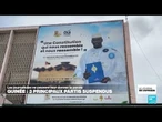 Guinée : campagne pour le référendum constitutionnel dans un climat tendu • FRANCE 24