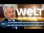 SPD-"FRIEDENSMANIFEST": "Warum bekommen die so viel Aufmerksamkeit?" Erik Kirschbaum | MEINUNG
