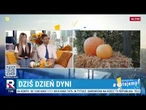 „Magia jesieni i tysiące dyń!” Dlaczego Polacy pokochali farmy dyniowe | Wstajemy!