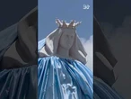 Libano, tra le macerie di Tiro