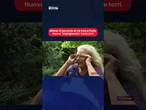 Milano, il racconto di chi vive a Porta Nuova "imprigionato" tra le torri