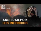 Analizamos como impactan los incendios a la salud mental de la población | RTVE Noticias