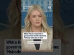 White House responds to government layoff criticisms: 'Nobody takes joy in that'