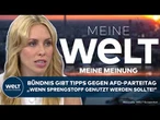 MEINE MEINUNG: Heftige Tipps! Bündnis verteilt Broschüre! Supergau am AfD-Parteitag in Erfurt?