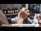 Le incognite della vendemmia, tra dazi e cambio e calo dei consumi