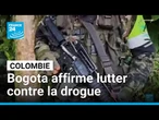 Bogota, sous pression de Washington, affirme lutter contre la drogue • FRANCE 24