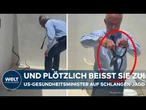 USA: Robert F. Kennedy Jr. von Schlange gebissen! US-Gesundheitsminister sorgt für virales Aufsehen
