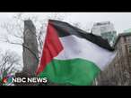 NBC News investigates claims that terror groups fund pro-Palestinian protests in U.S.