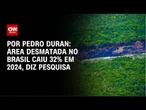 Área desmatada no Brasil caiu 32% em 2024, diz pesquisa | CNN NOVO DIA