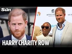 Harry always throws toys out of pram - latest charity move is childish