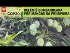 COP30: Belém é bombardeada por mangas na Primavera | CNN PRIME TIME
