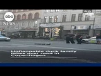 Unflappable duck family take over road in Copenhagen