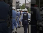 Niedźwiedź sparaliżował miasto! Uzbrojona policja i śmigłowce w akcji