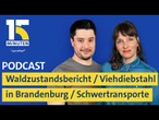 Zustand der Wälder / Viehdiebstahl in Brandenburg / Schwertransporte von Windrädern I "15 Minuten"