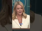 Karoline Leavitt on Musk vs Navarro: 'Boys will be boys'