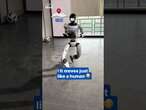 'Kung Fu' robot delivers extraordinary roundhouse kick