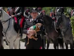 Meloni 'saluta' il cane Briciola, mascotte dei Carabinieri