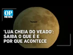 Lua cheia do Veado encanta regiões pelo Brasil: Saiba o que é o fenômeno | O POVO News
