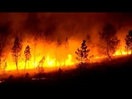 La pire saison des incendies de forêt depuis des décennies brûle plus de 340 000 hectares en Espagne