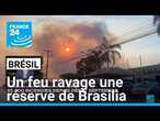 Un feu ravage une réserve de Brasilia, le plus grand incendie dans la capitale brésilienne en 2024