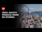Vídeo: Gaivota persegue drone em Istambul | CNN BRASIL