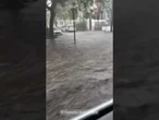 'NO WAKE ZONE': Driver navigates flash flooding in Charleston, South Carolina #shorts