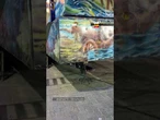 vídeo NOT+UOL: Brinquedo sustentado por cadeira em parque de diversões no CE assusta frequentadores