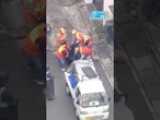 Autoridades capturam urso que assustou cidade no Japão