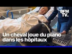 Aux États-Unis, des chevaux jouent du piano dans les hôpitaux pour les patients