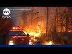 Wildfire at New Jersey-New York border delays historic Veterans Day parade