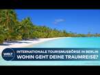 REISETRENDS 2025: ITB Berlin zeigt beliebte Urlaubsziele – Albanien und Kreuzfahrten im Fokus!