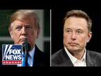 Trump announces Elon Musk will head audit of 'entire federal government'