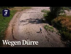 Niedrigwasser lässt Ahr-Zufluss in den Rhein versiegen