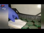 "Rischio BOTULINO", maxisequestro di prodotti alimentari in un'azienda agricola bolognese