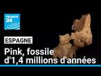 Pink, fossile d'1,4 millions d'années • FRANCE 24