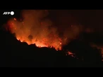 Brucia il sud-ovest della Francia, il piu' grave incendio dall'inizio dell'estate