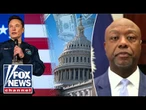 ‘WE WILL DO IT’: Sen. Tim Scott lauds GOP efforts to codify DOGE cuts