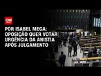 Anistia: oposição quer votar urgência após julgamento | CNN NOVO DIA