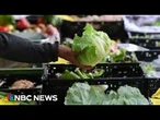 How the cyclospora outbreak is impacting the food industry