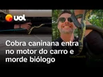 Cobra caninana de 2 metros morde biólogo e tenta entrar no motor de carro em SC; vídeo flagra ação