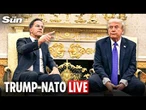 LIVE: Trump meets NATO chief Mark Rutte at White House amid rising Iran tensions