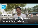 À Paris, les Champs Élysées n'échappent pas à la canicule • FRANCE 24