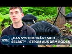 BODENSTROM: Wie ein britisches Start-up mit Mikroben im Erdboden nachhaltig Strom erzeugt
