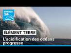 La 7è limite planétaire, l'acidification des océans, sur le point d'être franchie • FRANCE 24