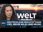 MEINE MEINUNG: "Zurückfinden was Liberalismus ist und das ist in erster Linie Staatskritik" | WELT