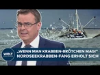NORDSEE: Krabben-Sensation! Fischer jubeln - Netze sind wieder voll!