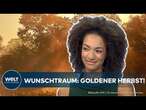 GOLDENES HERBST-WETTER IN DEUTSCHLAND: Sonne im Osten - Dauerregen und Sturmböen im Rest des Landes!