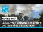 La Nouvelle-Calédonie en proie à des incendies dévastateurs • FRANCE 24