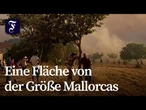 Waldbrände in Spanien: "Im Handumdrehen wurde alles zu Asche“